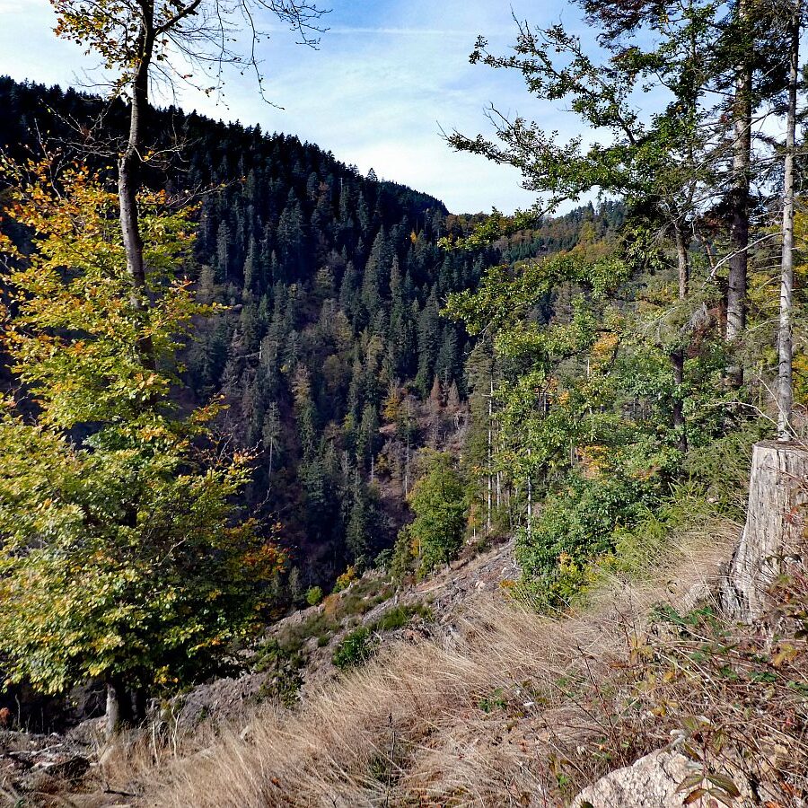 Herbst Im Bernecktal Zwischen Tennenbronn Und Schramberg