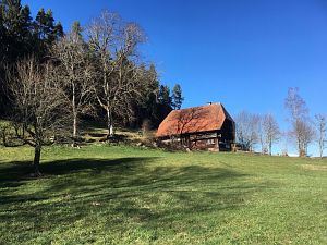 Vorfrühling in Tennenbronn im Schwarzwald
