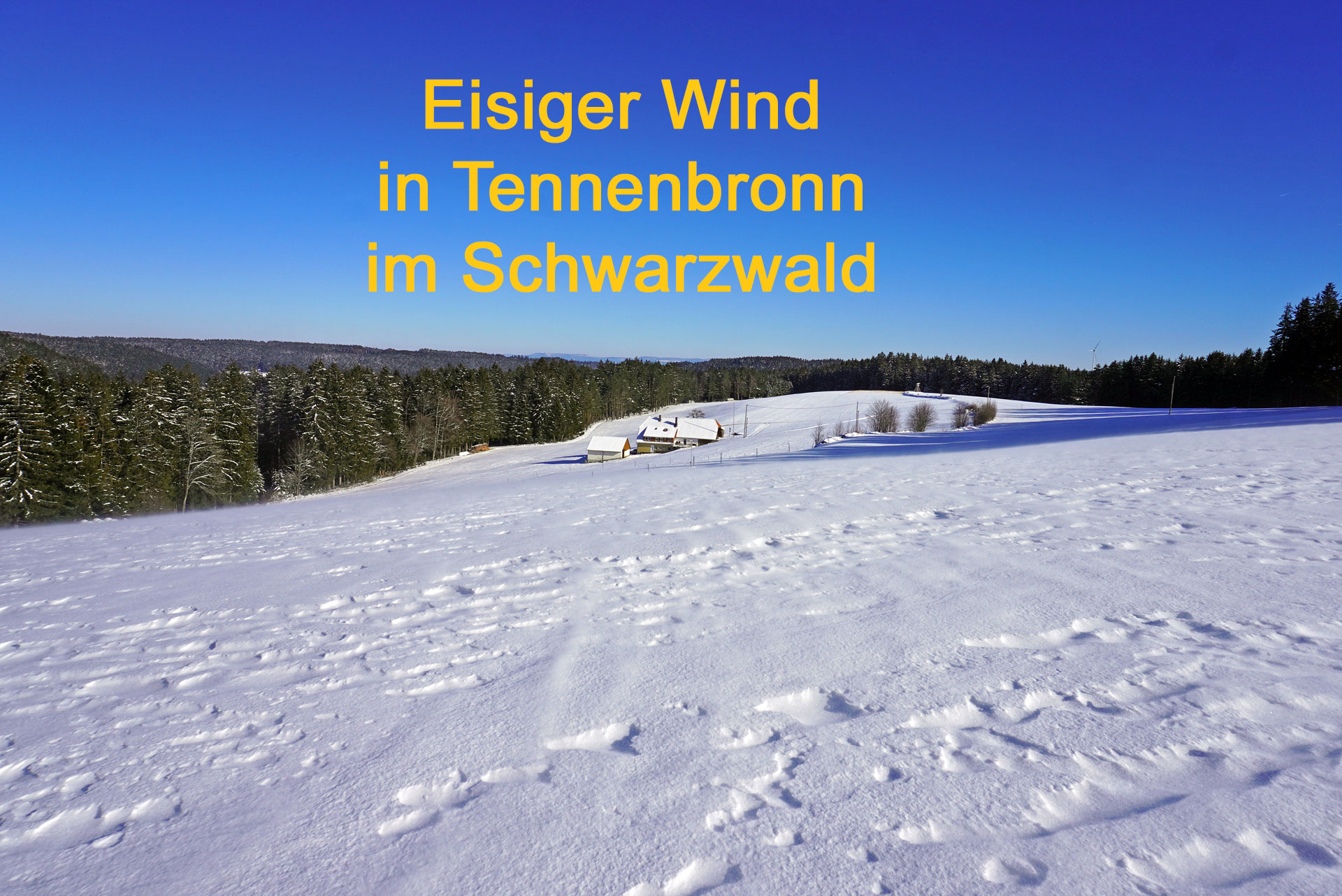 Eisiger Wind über den Höhen von Tennenbronn im Schwarzwald